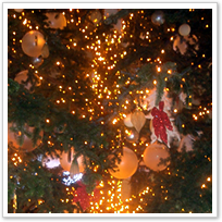 弓町本郷教会のクリスマス