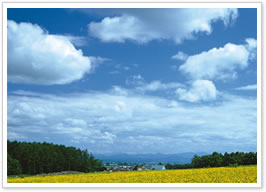 �y���e�R�X�e